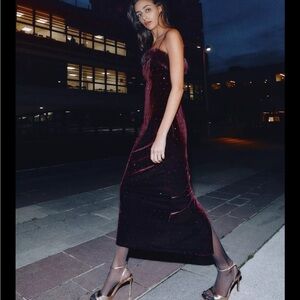 Zara limited edition velvet beaded faux fur midi dress